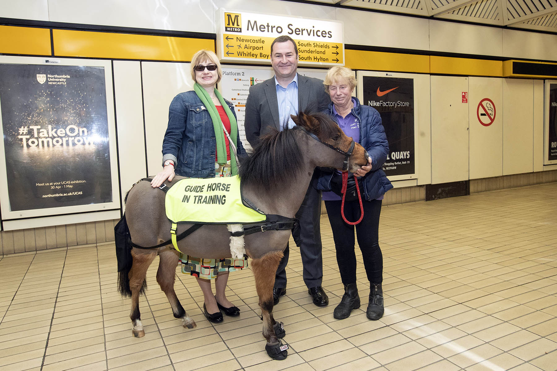 ▲▼英國首匹導盲馬Digby。（圖／Tyne and Wear Metro）