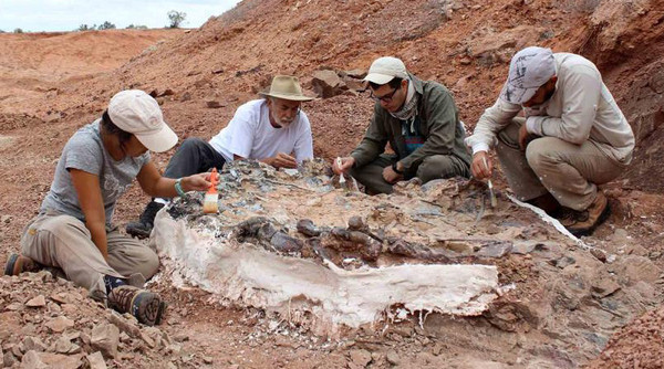 ▲▼有2.2億年歷史的恐龍墳場。（圖／Universidad Nacional de San Juan）