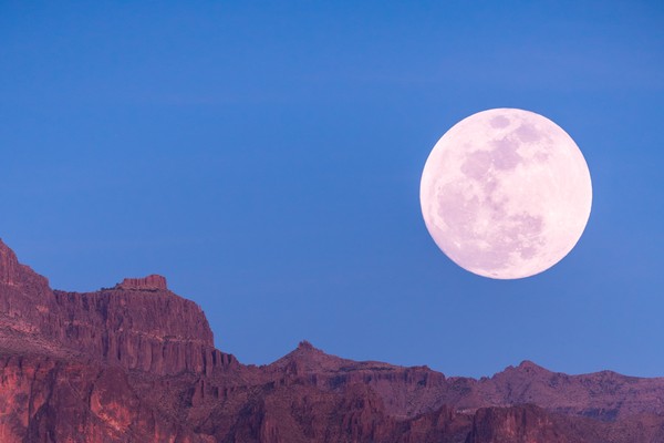 ▲▼粉紅「草莓月亮」。（示意圖／取自免費圖庫Unsplash）