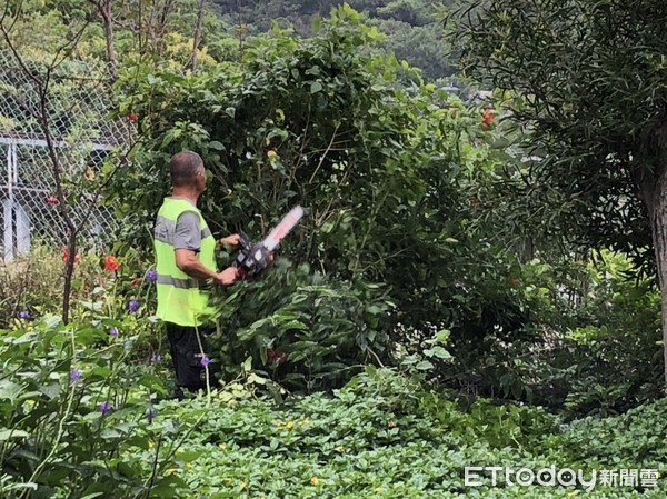 ▲八里療養院思覺失調症病友員工黃玉龍。（圖／張自強主任提供）