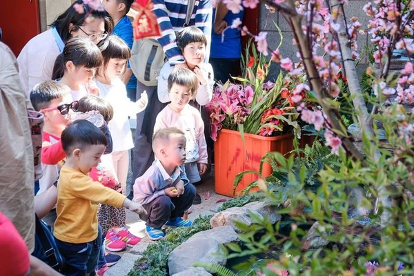 ▲▼ 朴子配天宮求子靈驗，求男求女取決於民眾所求花色，更有50幾歲高齡產婦順利求兩子。（圖／朴子配天宮提供，下同）