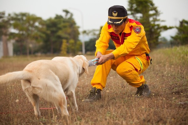 ▲新竹也有「護國神犬」！　3搜救犬民安演習帥氣登場。（圖／記者陳凱力翻攝）