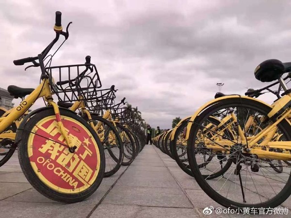 ▲▼鳳凰自行車,ofo小黃車。（圖／翻攝微博／鳳凰自行車,ofo小黃車）