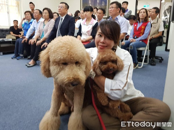 ▲竹市動保大躍進！「繫狗鍊、捕獸夾、宰殺貓犬」　將納自治法。（圖／記者陳凱力攝）