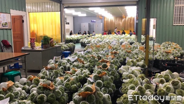 ▲台東釋迦鮮果出口金額破10億元。（圖／記者楊均典翻攝）