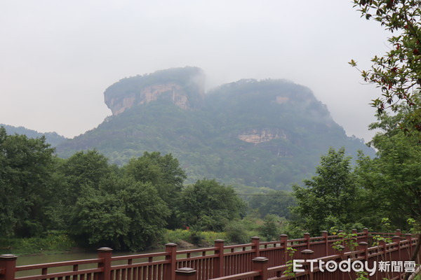 ▲武夷山,茶文化,左芳儒,左如玉,劉安興（圖／記者蔡紹堅攝）