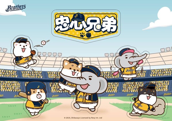 ▲中信兄弟將於5月4日及5日在台中洲際棒球場舉辦寵物主題日「忠心兄弟」。（圖／中信兄弟提供）