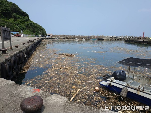 ▲ 北海岸銅藻海漂垃圾流進漁港 新北漁業處2天撈起達2公噸。（圖／新北市漁業處提供）