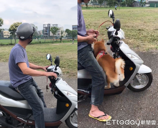 ▲要回家囉！爸爸騎摩托車「嗶一下」　萌柴從遠處飛奔：我來了～（圖／網友黃美華提供，請勿隨意翻拍，以免侵權。）