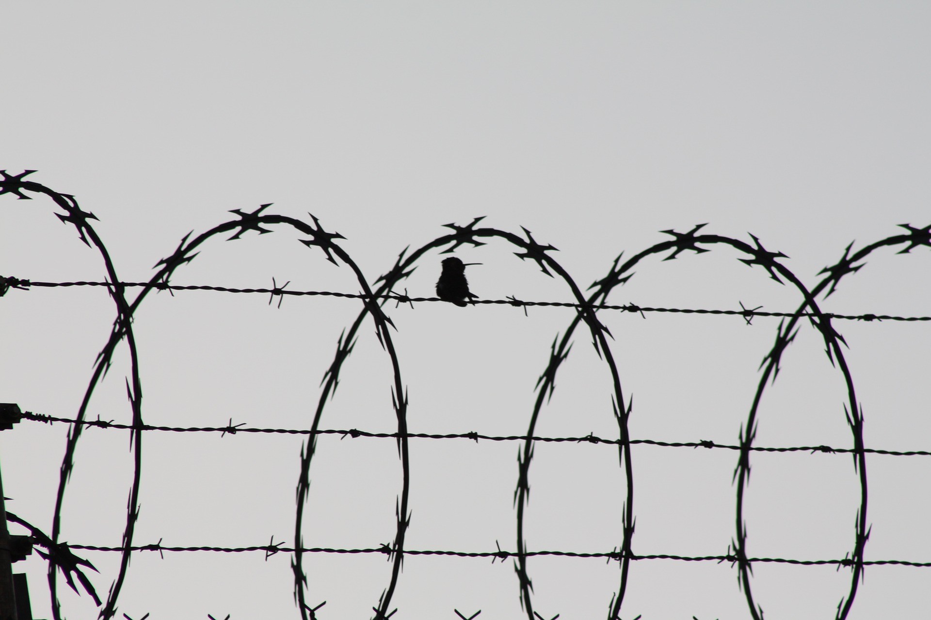 ▲▼監獄，受刑人，鐵窗，鐵籠。（圖／pixabay）