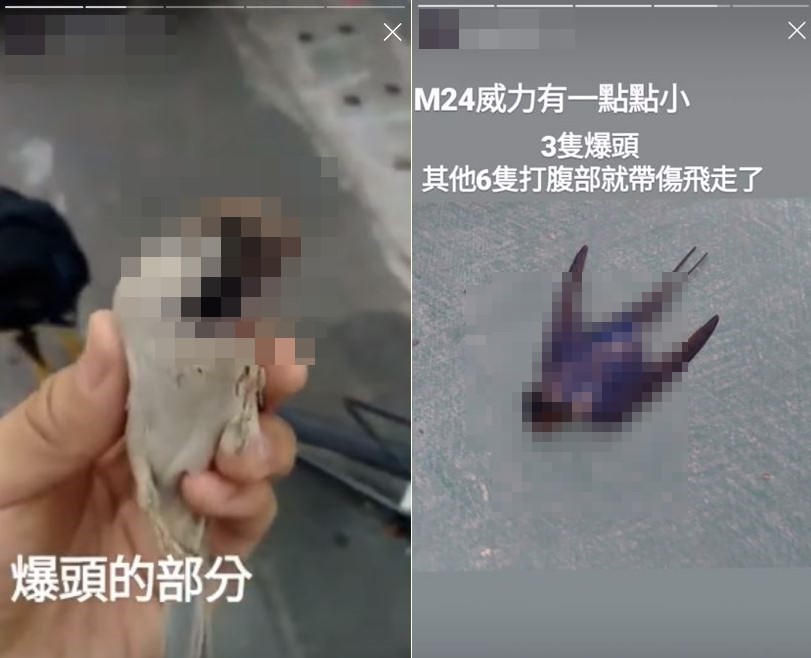 ▲▼生存玩家射殺小鳥！炫耀爆頭戰果「威力有點小」　網友暴怒灌爆他臉書。（圖／翻攝自爆料公社）