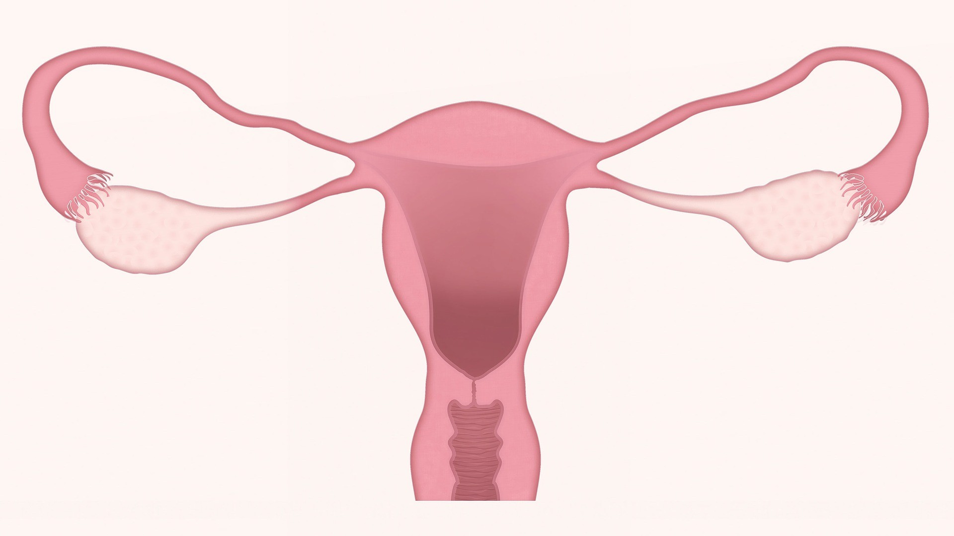 ▲▼子宮脫垂是停經後婦女的常見疾病 。（圖／Pixabay）