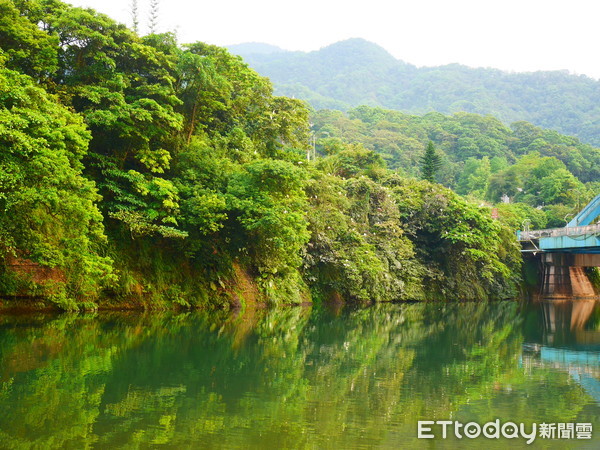 ▲坪林 。（圖／記者彭懷玉攝）