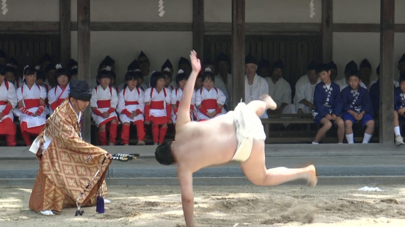 ▲▼日本神社有每年舉辦的「一人相撲」祭祀。（圖／翻攝自大山祇神社）