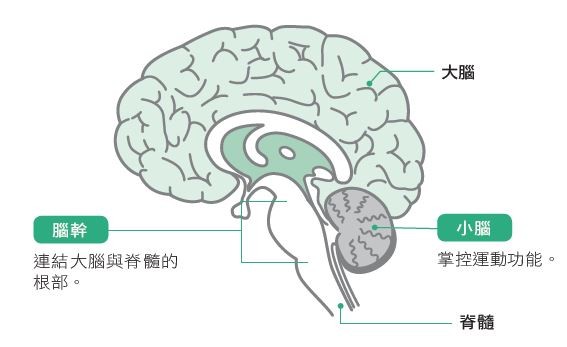 ▲▼             。（圖／大是文化提供）