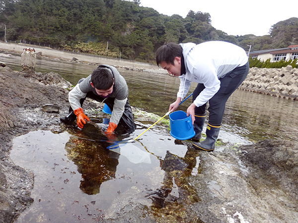 ▲▼飛島中學全校只有1名學生。（圖／翻攝自飛島中學官網）