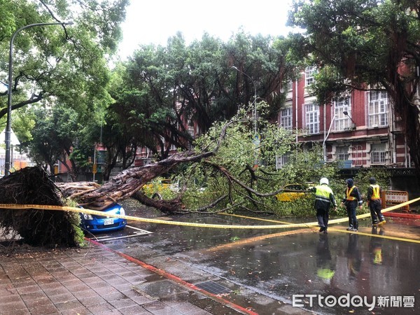 ▲大雨不斷釀路樹倒塌轎車遭壓住，北市南昌路交管禁行。（圖／記者邱中岳翻攝）