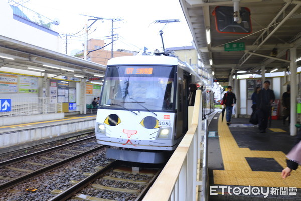 ▲▼東京東急電鐵世田谷線招財貓電車。（圖／記者蔡玟君攝）