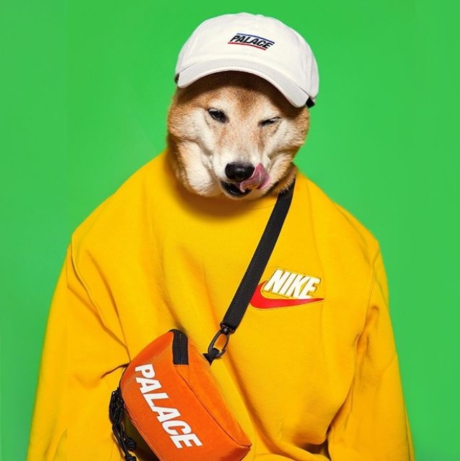 ▲Nike Sportswear「Shiba Inu Pup」。（圖／翻攝自IG@mensweardog、Nike、atmos）