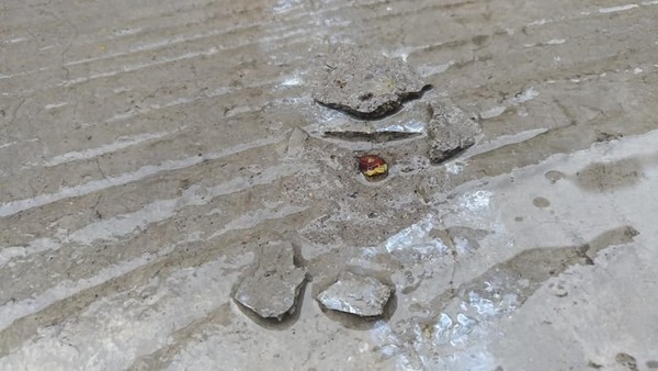水泥地爆開，移開碎片看到一顆西瓜種子。（圖／翻攝自Facebook／爆料公社）