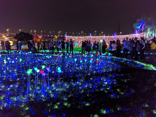 ▲板橋江翠蝴蝶地景公園。（圖／新北市政府高灘地工程管理處）