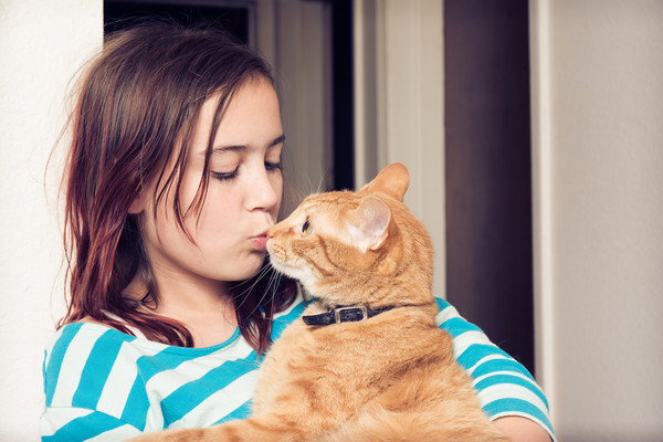 ▲▼貓，橘貓，親貓，親寵物示意圖。（圖／CFP）