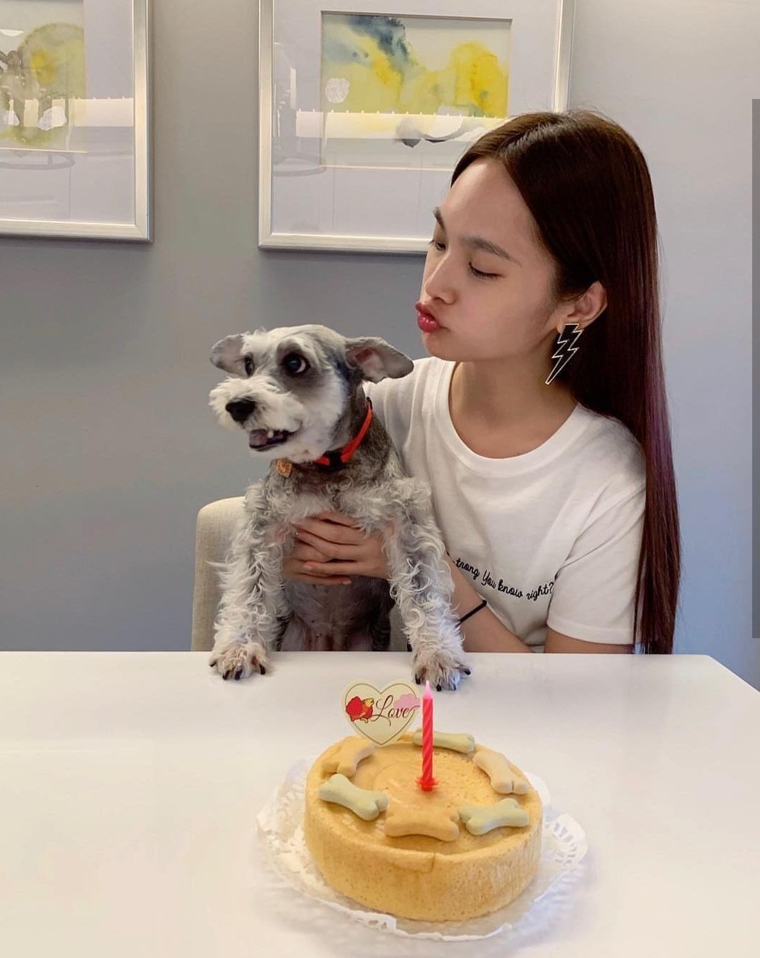 ▲▼楊丞琳5日幫愛犬Yumi慶祝14歲生日。（圖／翻攝自IG／楊丞琳）