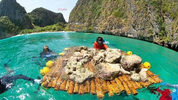 ▲工作人員將白化的珊瑚轉移至瑪雅灣（圖／翻攝自FB／泰國網）