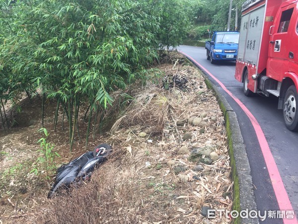 ▲▼泰山婦人為了閃車摔下2公尺高的邊坡。（圖／記者陳豐德翻攝）