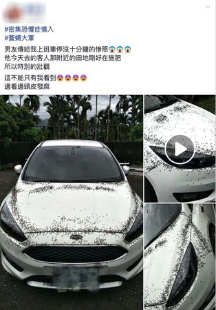 ▲▼蒼蠅攻陷轎車。（圖／翻攝自Facebook／爆怨公社）