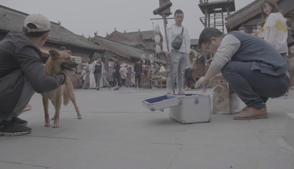 ▲《孤城閉》劇組被質疑虐狗。（圖／翻攝自微博／電視劇孤城閉）