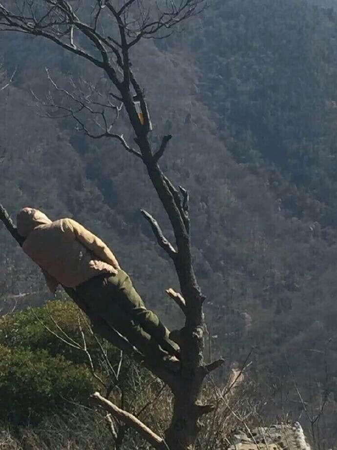 ▲▼網友拍到深谷中一位高人躺在樹枝上。（圖／翻攝自爆廢公社）