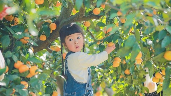 ▲從 0 歲開始教！學習日本媽媽的聰明育兒術，養出不挑食有責任感的孩子。（圖／女子學提供）