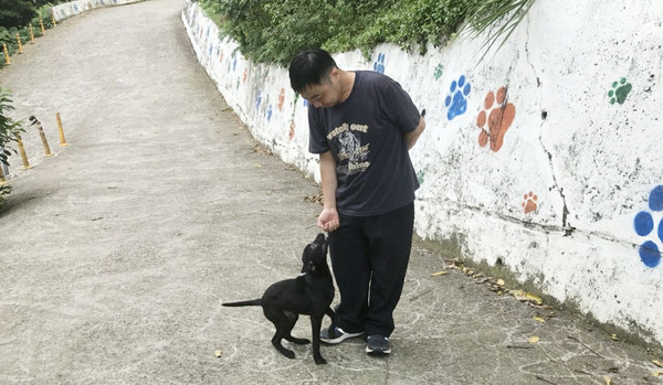 ▲▼4幼犬逃死劫！見人走近猛搖尾示好　被嫌「不上相」滯銷收容所。（圖／新北市動保處提供）