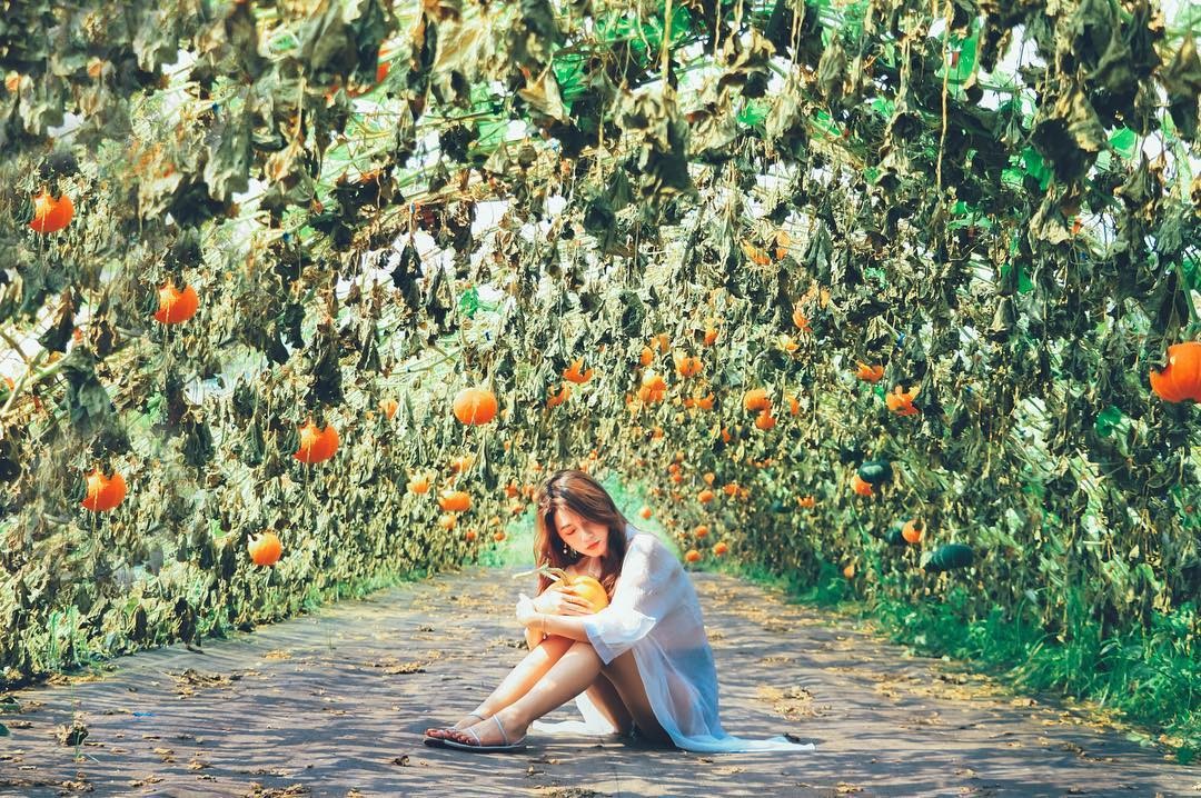 置身童話場景 5座30米 彩色南瓜隧道 免費看附近景點玩一天 Ettoday旅遊雲 Ettoday新聞雲