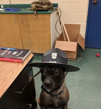 盡責守護學校，美警犬登校刊。（圖／翻攝自Facebook／Bryant Police Department）