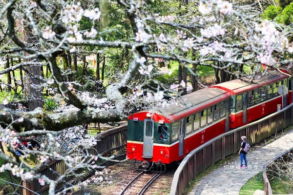 阿里山小火車