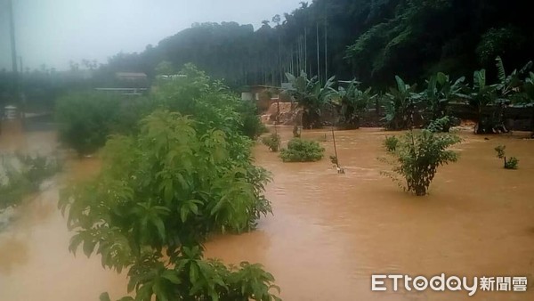 ▲多處農田遭大雨侵襲，淹水成災。