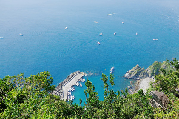 ▲基隆嶼 。（圖／基隆鳥會常務理事沈錦豐提供）