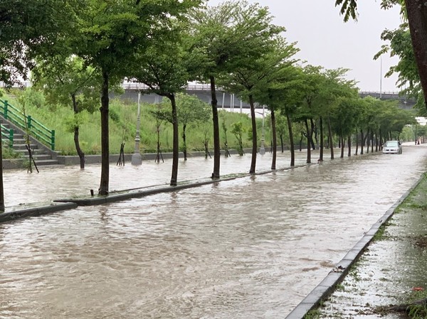 ▲烏日環河路淹水及腰，消防隊派救生艇搶救。（圖／記者陳玉翻攝）