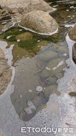 ▲▼水尾溪上游養豬戶排放的穢水嚴重汙染河川。