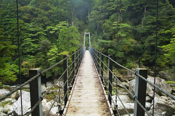 ▲日本屋久島▼             。（圖／七逗旅遊網提供）