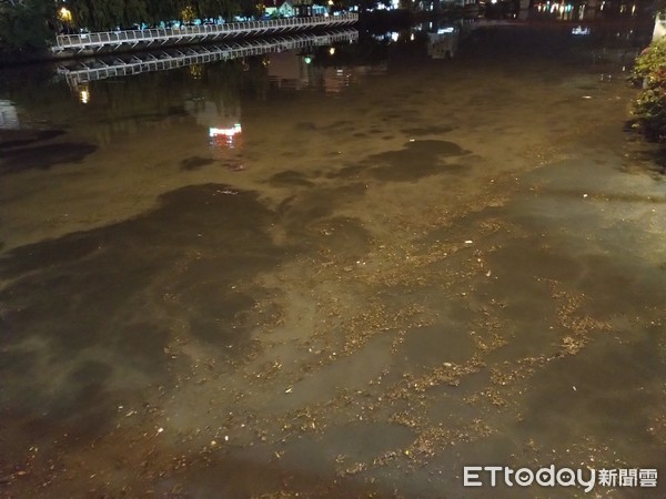 ▲▼高雄愛河因為暴雨變成「綠豆湯」，水質相當污濁。（圖／郭姓網友提供）