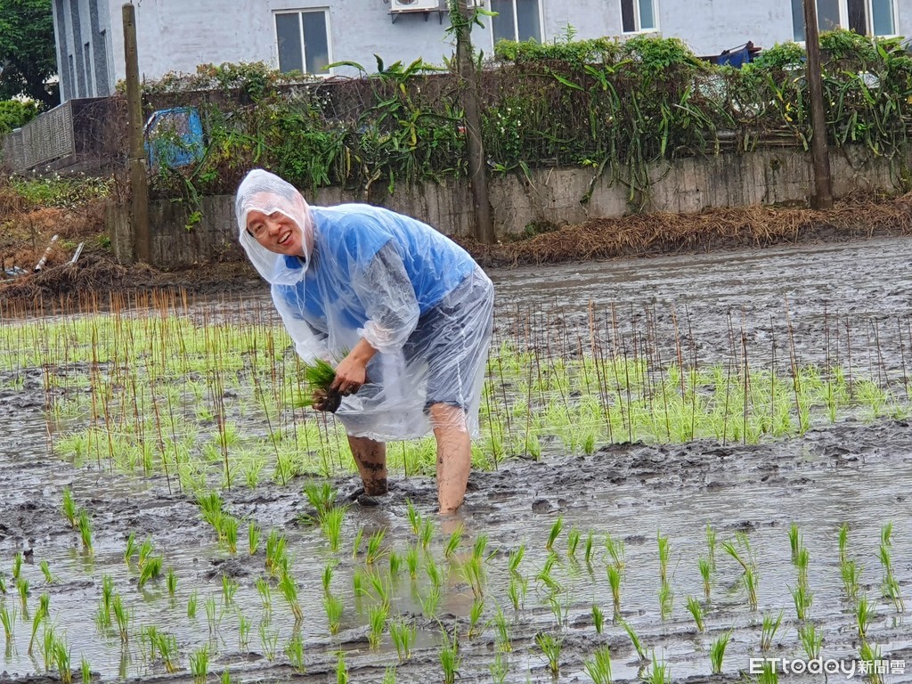 ▲▼台灣三星種稻做公益。（圖／記者邱倢芯攝）