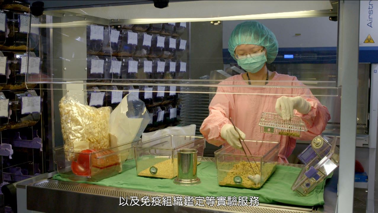 林口長庚研究大樓正式啟用地下2層樓都給 動物 住 Ettoday健康雲 Ettoday新聞雲