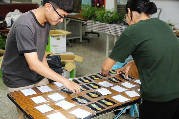 ▲▼ 嘉義大學園藝週結合百年校慶，新鮮鳳梨端上桌。（圖／嘉義大學提，下同）