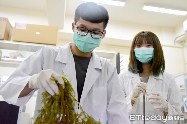 ▲ 屏東科技大學生物科技系施玟玲教授與臺灣海洋大學李孟洲助理教授利用海葡萄開發出安膚舒緩保養品            。（圖／記者陳崑福翻 攝）