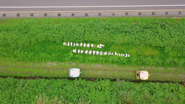 新北春遊（圖／新北市政府提供）