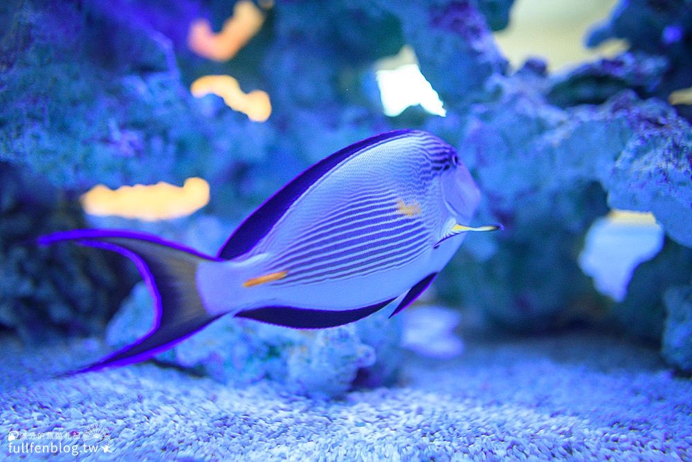 ▲▼ 宜蘭金車生物科技水產養殖研發中心。（圖／滿分的旅遊札記 提供）