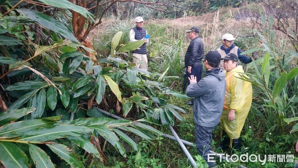 ▲ 新北挺青農種菜養雞 水保設施兼顧灌溉。（圖／新北市金山區公所提供）